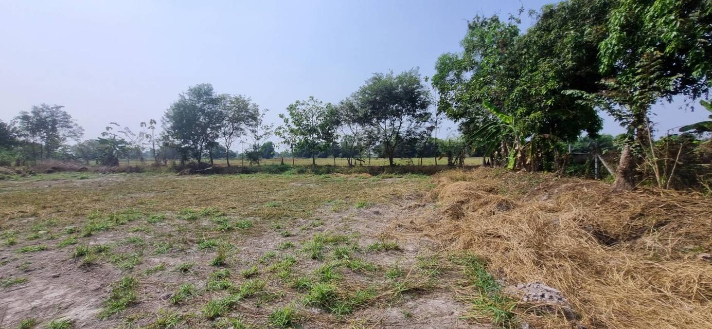 ขายที่ดินเปล่า นครนายก อ.เมือง 1 ไร่ 3 งาน 58 ตร.ว. ทำเลดี ติดคลอง ราคา 1.9 ล้าน 3