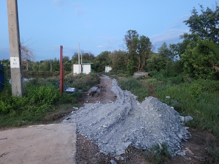 Land for Sale: Two Plots Totaling Over 23 Rai for 67 Million Baht (Agents Welcome) 2
