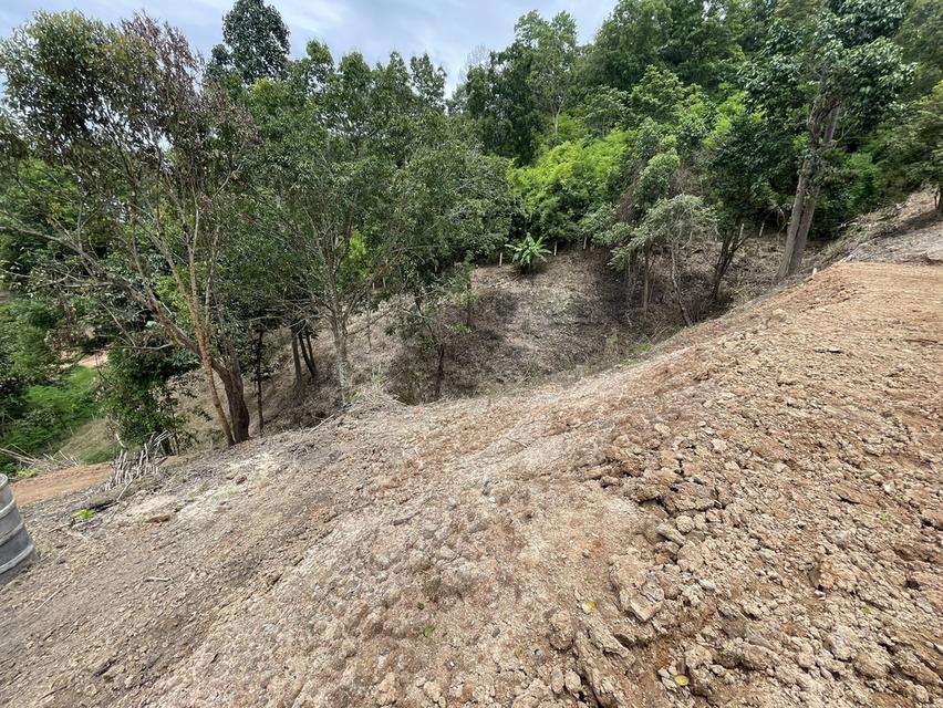 ขายที่ดินสายแม่ริม-ม่อนแจ่ม เชียงใหม่ 9