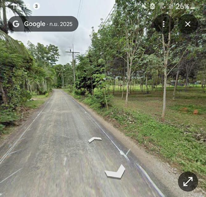 ไร่ยาง นส.4 จ. ครุฑแดง 4 ไร่กว่า พร้อมทำรายได้ทันที 5