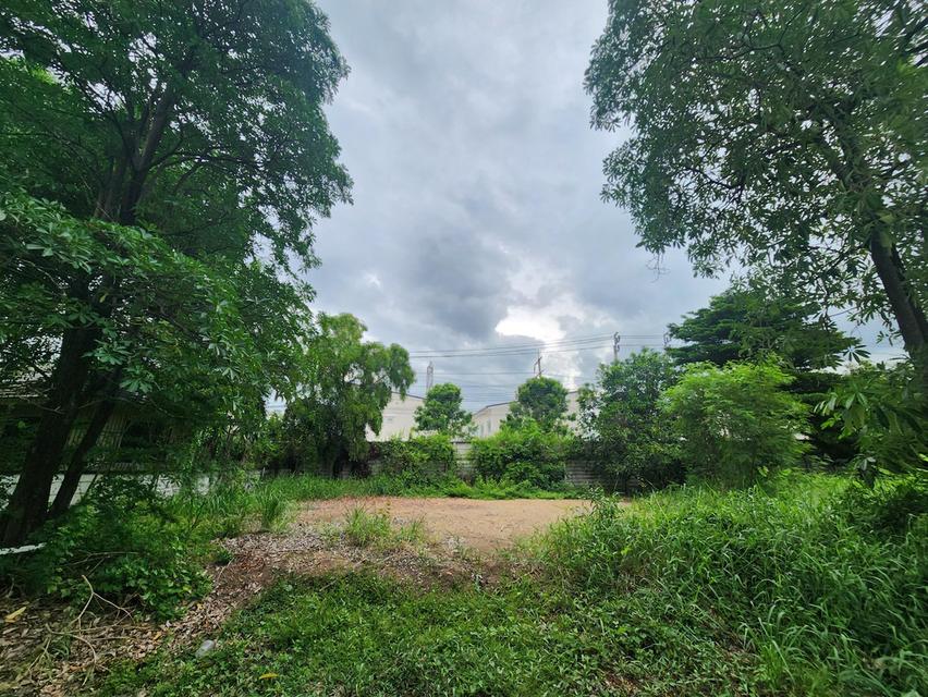 ขายที่ดิน 68 ตร.ว ในหมู่บ้าน Neo City ดอนเมือง กรุงเทพฯ เจ้าของขายเอง 3