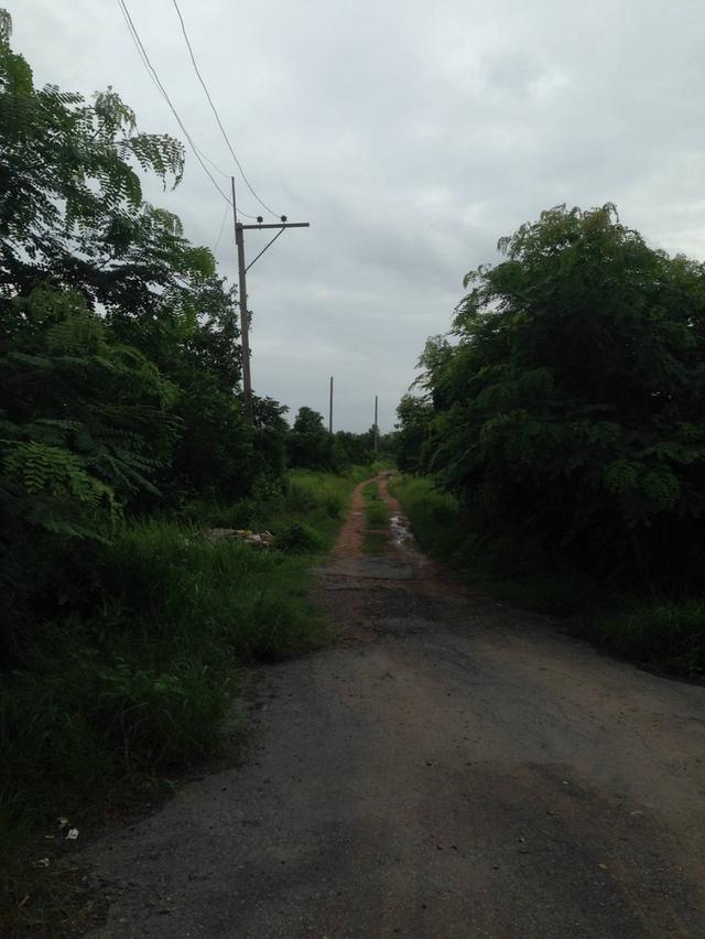 📣 ขายที่ดิน อำเภอองครักษ์ นครนายก – 2 ไร่ 20 ตร.วา หลังตลาดองครักษ์ – เข้า–ออกได้หลายทาง – ใกล้ มศว.องครักษ์ 5