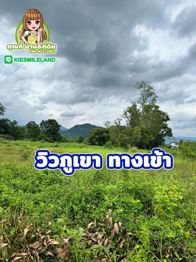 ที่ดิน นครนายก 50 ตารางวา 8