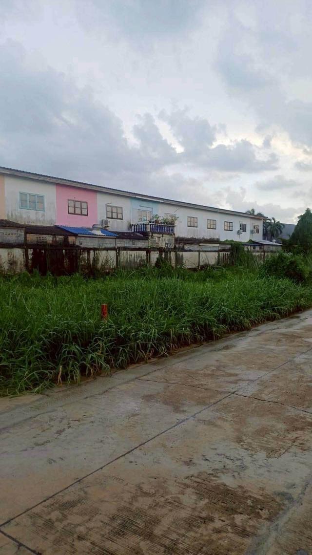 ขายถูกที่ดินลำลูกกา 34 ตรว ติดถนนคอนกรีตสาธารณะ ซ.เมตตา ต.บึงคำพร้อย จ.ปทุมธานี 6