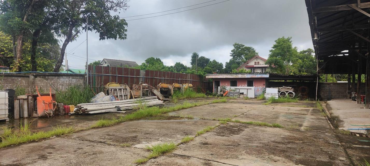 ขายที่โกดังติดถนนหลังเส้นโรงพยาบาลสมเด็จพยุพระราชเลิงนกทา หน้ากว้างติดถนน 32ม.ลึก43 ม.เนื้อที่ทั้งหมด3.617 งาน ห่างโรงพยาบาล 300 เมตร  เขต ทต.เลิงนกทา 12