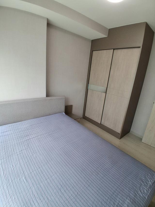 ให้เช่า กรีเน่คอนโด ดอนเมืองสรงประภา วิวสระ 34sq.m.9,500 6