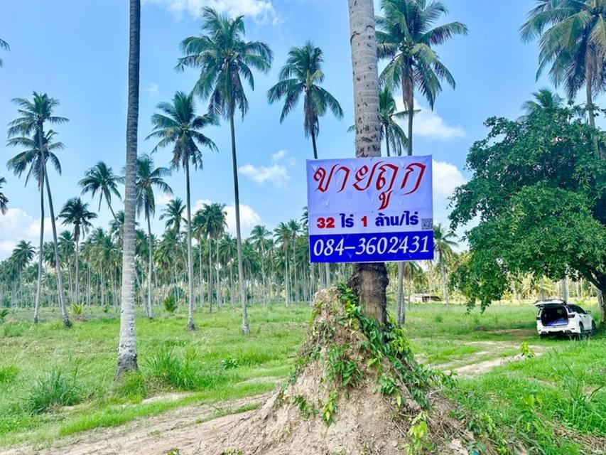 ขายด่วน ที่ดินติดถนนเพชรเกษม ทับสะแก