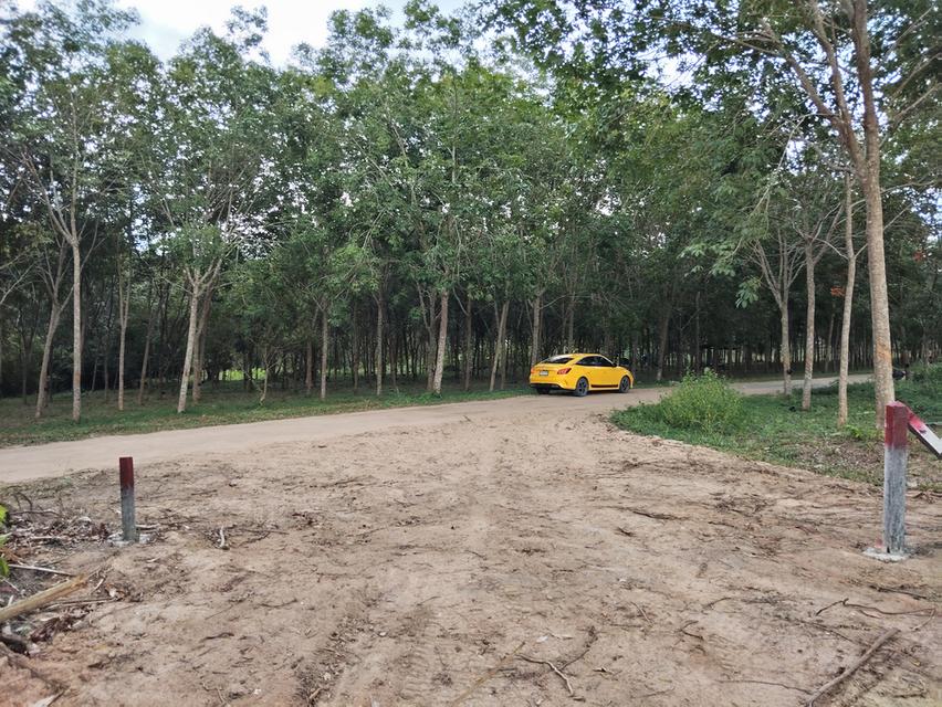 ที่ดิน 4 ไร่ เกาะสมุย 9