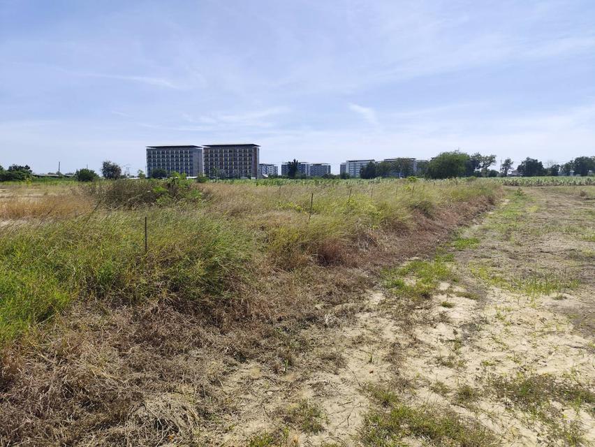 แปลง 1-9 ไร่แปลงสวย อากาศดี มีบ่อน้ำใส แบ่งได้ ที่ใกล้หอพัก นกฮูกเก้า ม. เกษตร กำแพงแสน 11