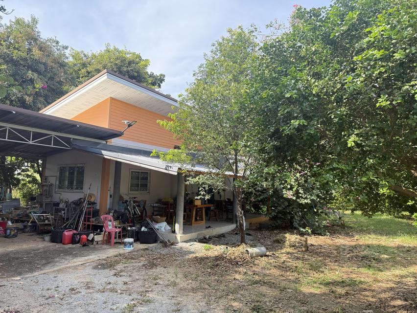 ที่ดิน 9ไร่ 1งาน 38ตารางวา สวนผลไม้ พร้อมบ้าน และสิ่งปลูกสร้าง 10