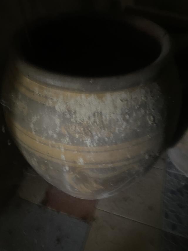 โอ่งมังกรเก่าหลาบใบราคากันเอง รูปที่ 10