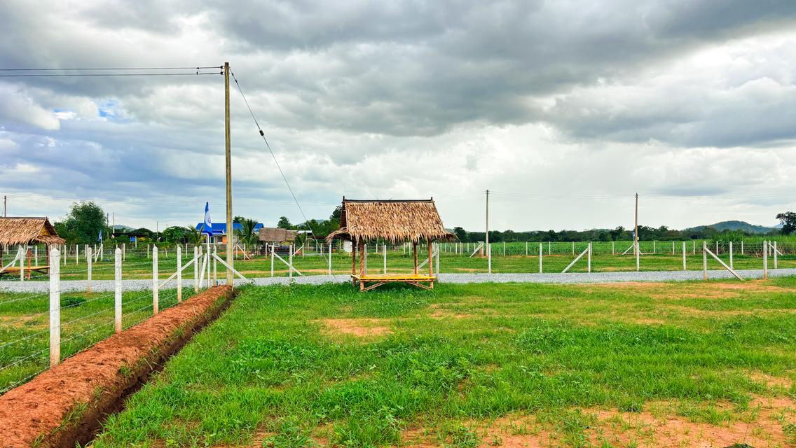 ที่ดินทำบ้านสวน วิวภูเขา น้ำไฟเน็ตพร้อม ทำเลดี ใกล้ กทม. 10