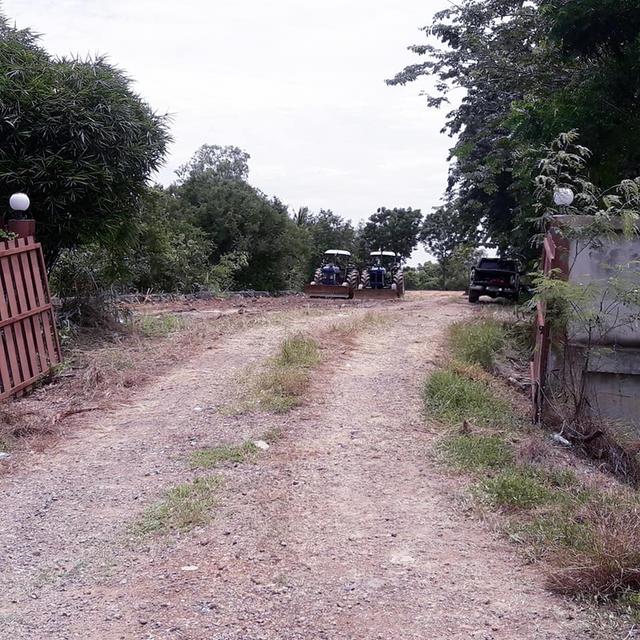 ให้เช่าที่ดิน 1 ไร่ ใกล้วัดตะโก อ.นครหลวง จ.อยุธยา 1
