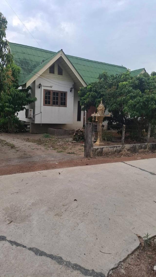 ขายที่ดินพร้อมบ้าน อ.เมือง จ.ลำพูน 8