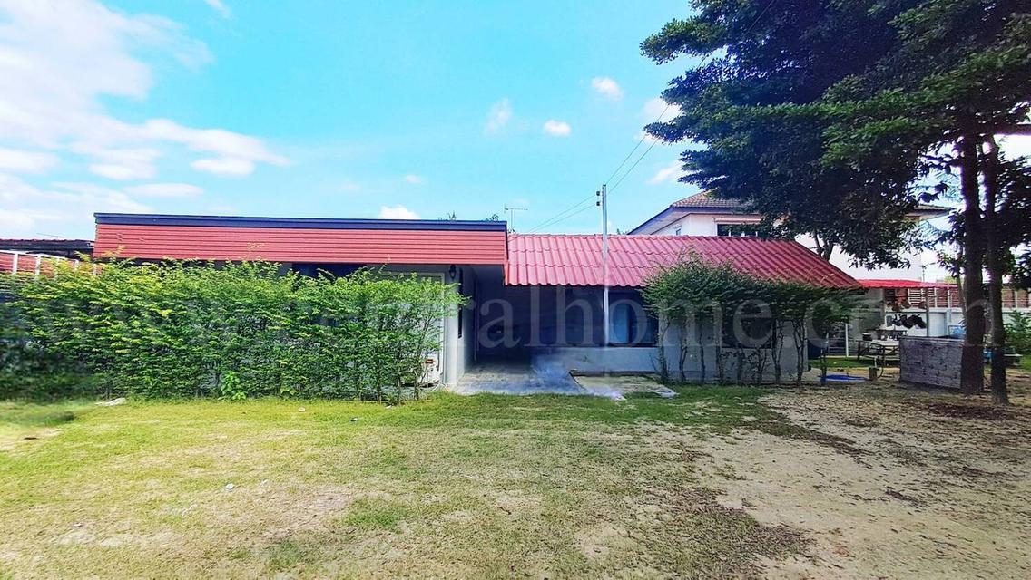 บ้านเดี่ยว พร้อมที่ดินถมแล้ว เทิดราชัน 17 ดอนเมือง ราคาถูก 3