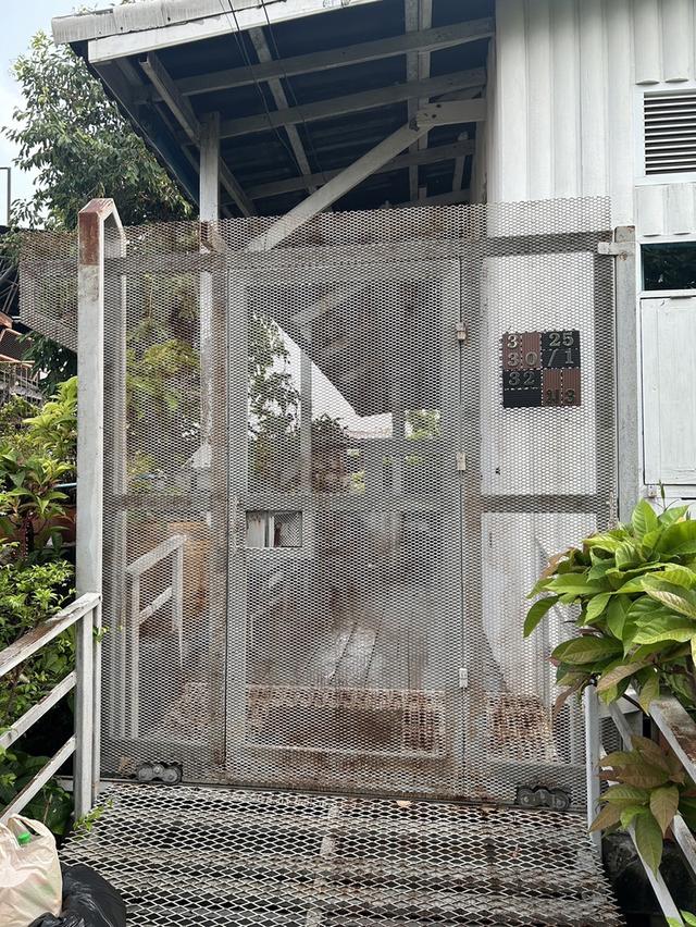 ขายร้านพร้อมบ้านพักติดริมแม่น้ำจ้าพระยาฝั่งตรงข้ามปากเกร็ด   เหมาะสำหรับทำ ร้านอาหาร คาเฟ่ บาร์ โฮมสเตย์ โรงแรมขนาดเล็ก ติมริมแม่น้ำมีท่าเทียบเรือ  12