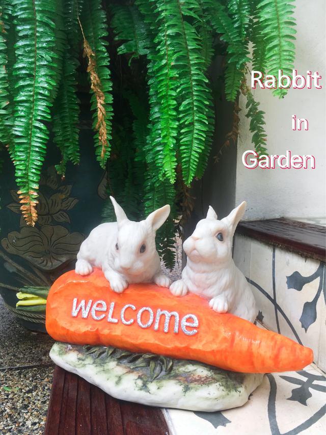 Rabbit Welcome 1