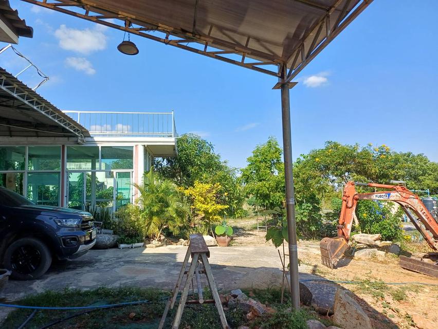 ขายด่วน! ที่ดินพร้อมบ้านและธุรกิจรังนกนางแอ่น (6 ไร่) 4