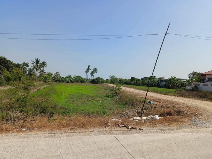 รูป ขายที่ดิน16ไร่3งาน ติดคลอง นนทบุรี 2