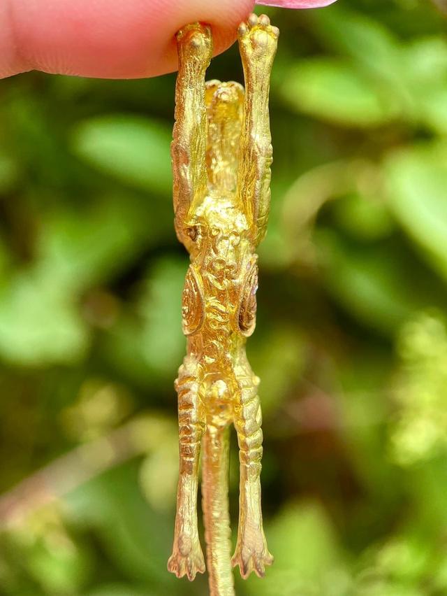 เสือรุ่น4 เนื้อทองเหลือง 🌼เก๊กฮวย หลวงปู่เเย้มวัดตะเคียน นนทบุรี 4