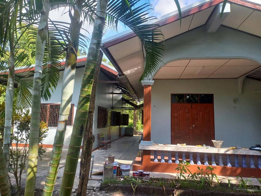 ขายที่ดินสิ่งปลูกสร้าง 13-3-22 ไร่ สวนมะม่วงน้ำดอกไม้ ตำบลพระธาตุผาแดง อำเภอแม่สอด จังหวัดตาก 10