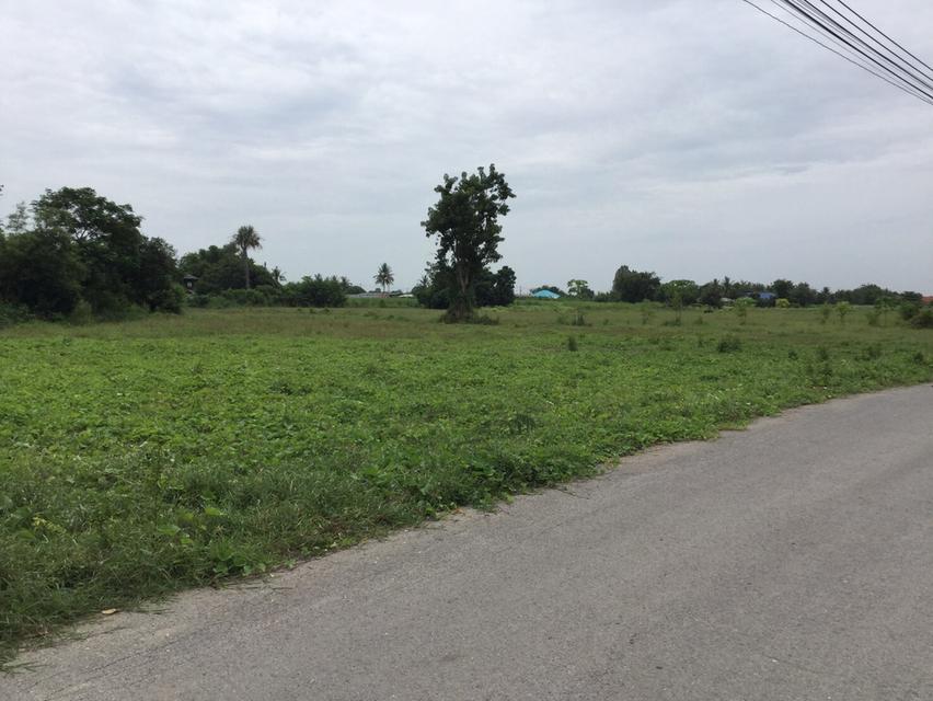 ที่ดิน นครปฐม 2 แปลง ที่สวยมาก 3