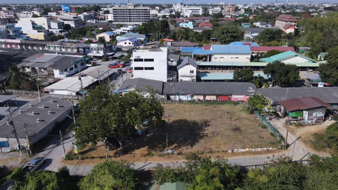 ขายที่ดินหนองมน บางแสนเนื้อที่ 285 ตรว. แสนสุขซอย1 ถมแล้วติดถนน3ด้านใกล้ถนนสุขุมวิท3-100เมตร เมืองชลบุรี 5