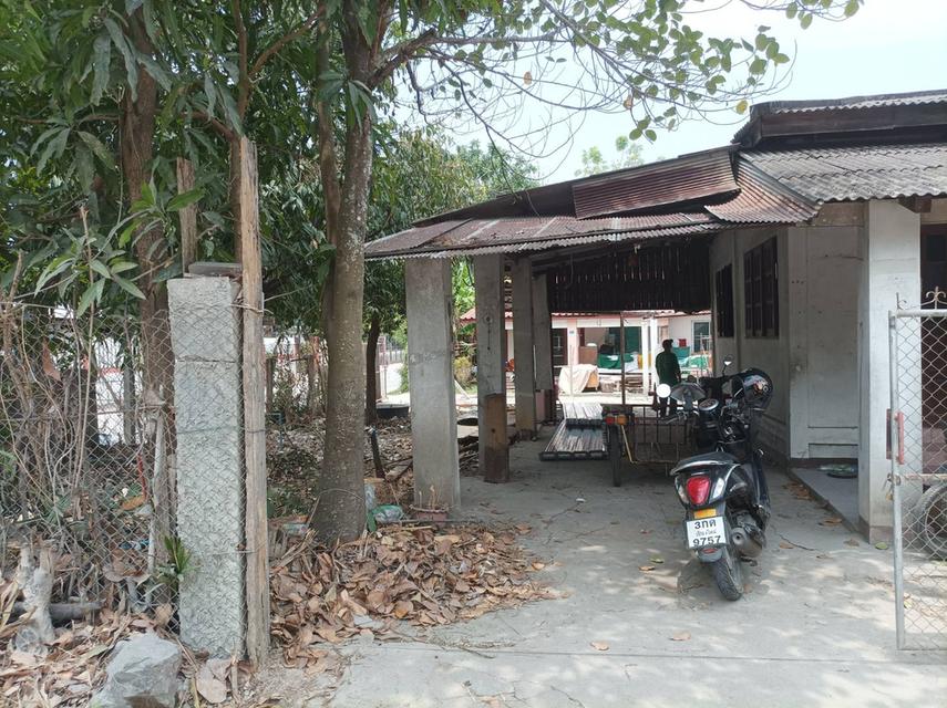 ขายบ้านพร้อมที่ดิน ต.สำราญราษฏร์ อ.ดอยสะเก็ด จ.เชียงใหม่ 2
