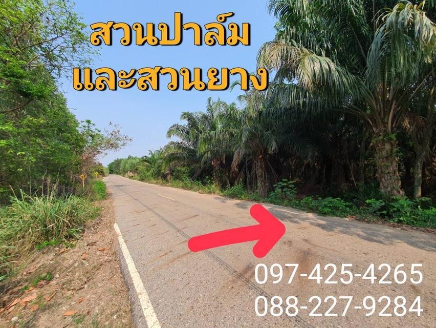 ขายที่ดินพนมสารคาม 5-2-0 ไร่ ติดถนนลาดยาง ใกล้ถนนเส้นสัตหีบ-พนมสารคาม(331) - 3 กม. จ.ฉะเชิงเทรา 2