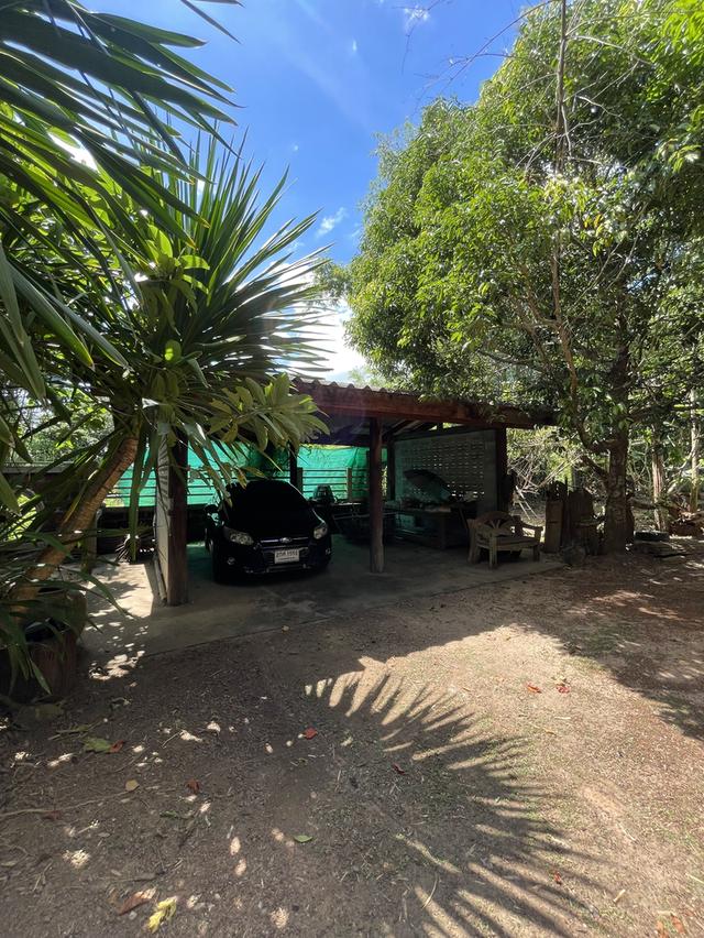 บ้านสวนปราจีนบุรี 9