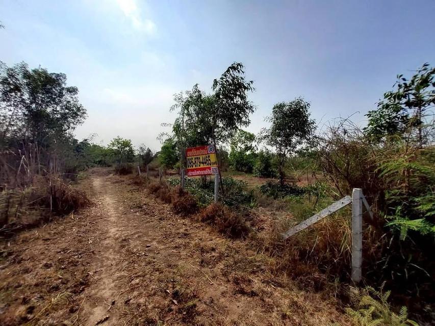 ขายถูกทีดิน 400 ตารางวา ติดถนนสาธารณะใกล้ซอยอยู่รวย แลนด์ หนองสามวัง หนองเสือ 2