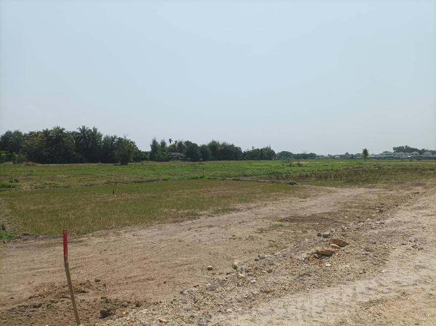 ขายที่ดิน 12,900บาท/ตร.ว. ต.สันปูเลย อ.ดอยสะเก็ด จ.เชียงใหม่ 8