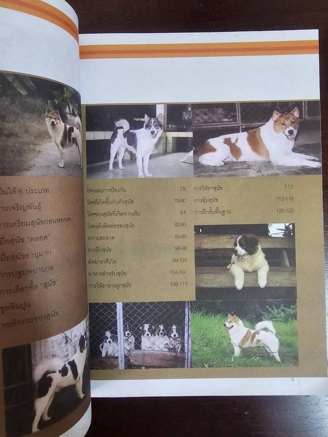 หนังสือ สุดยอดสุนัขสายพันธ์ไทย ไทยหลังอาน บางแก้ว มือสอง สภาพสมบูรณ์ 2