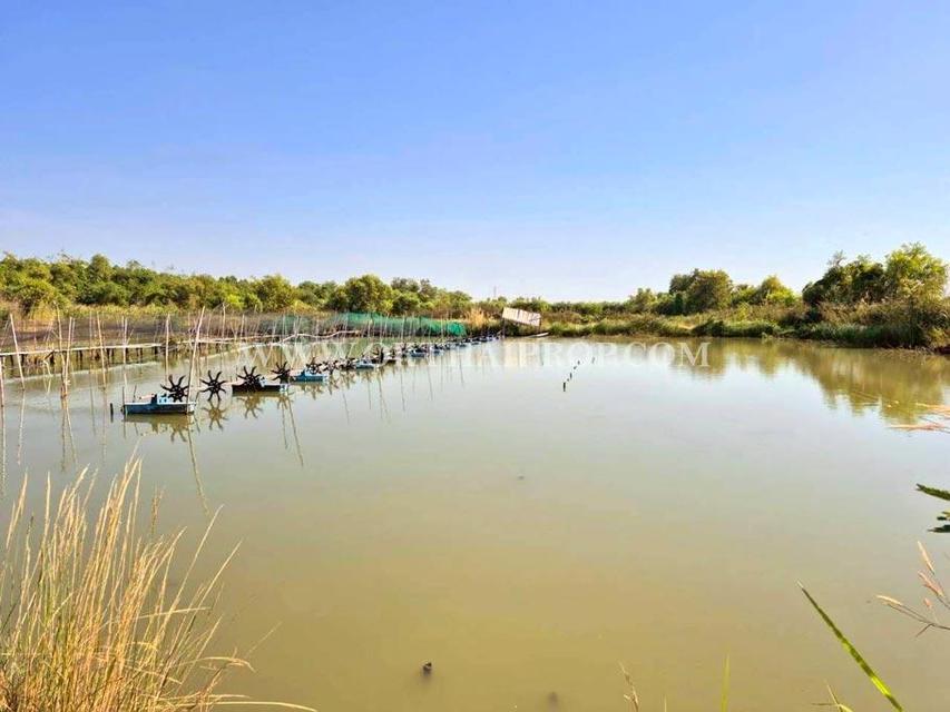 ที่ดิน ใกล้อบต.วังจุฬา วังน้อย พระนครศรีอยุธยา 9