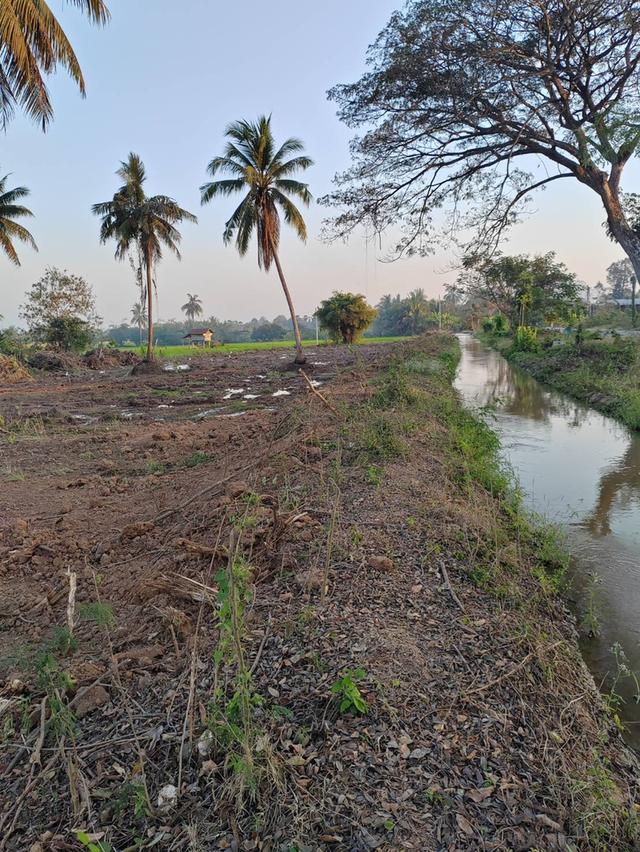 ขายที่ดินหน้ากว้าง รูปทรงชายธง ทำเลดีมาก – ต.ย่านยาว อ.เมือง จ.พิจิตร 10