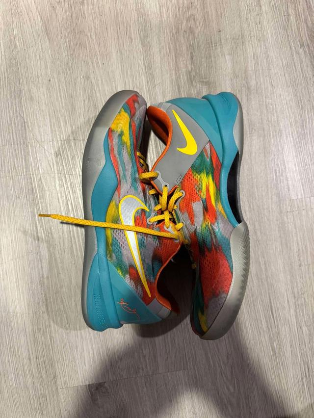 Kobe 8 protro Venice Beach