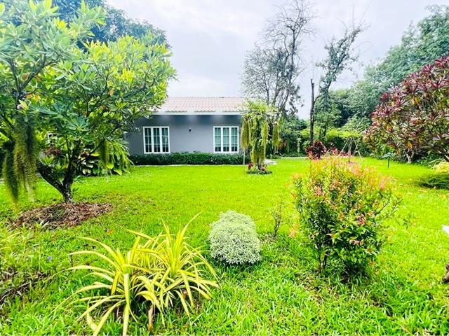 แปลงยาว ฉะเชิงเทรา ให้เช่าบ้านรีสอร์ทสุดหรู พร้อมพื้นที่สวนขนาดเล็ก 300 ตร.วา. รร.วัดหัวสำโรง 1.6 กม.900 ตร.ม. จัดเต็มเฟ 7