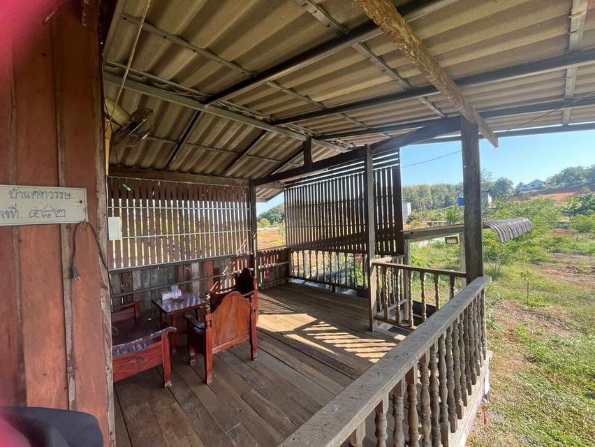 บ้านเดี่ยวพร้อมที่ดิน 3ห้องนอน3ห้องน้ำ 8