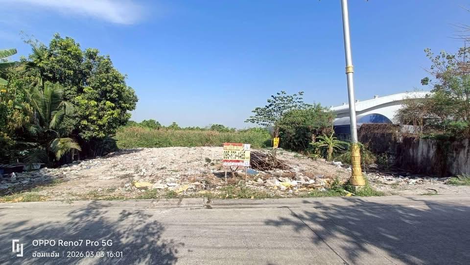 ขายที่ดินใกล้วัดบางกระดี 340 ตารางวา (ติดถนนคอนกรีตสาธารณะ ซอยบางกะดีสายใน 1 เมืองปทุมธานี 2