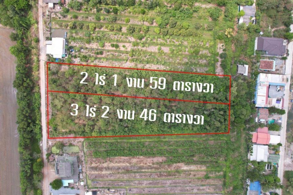 ที่ดินจังหวัดปทุมธานี 3