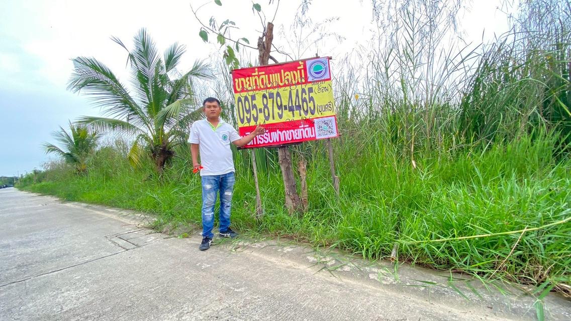 ร้อนเงินVายถูก ที่ดินบ้านกลาง 244 ตารางวา ติดถนนคอนกรีตสาธารณะ ซอย โม่ฮวด 7 เมืองปทุมธานี 1