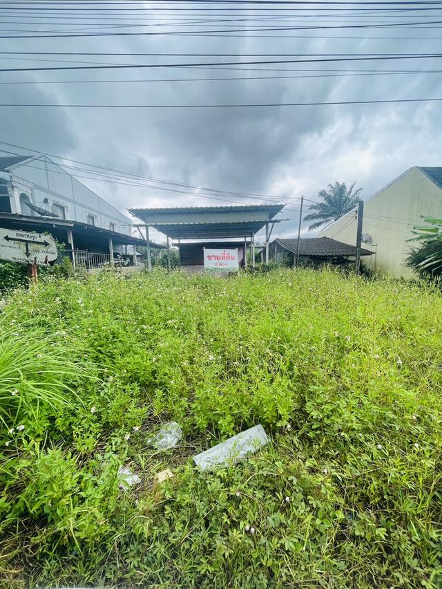 ที่ดิน 1