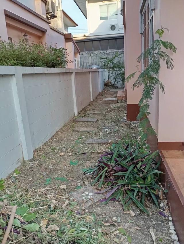 ขายหมู่บ้านเสนาวิลล่าพระยาสุเรนทร์ 35 14