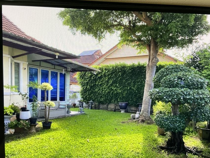 บ้านใจกลางเมืองระยอง ใกล้ทะเลใกล้สิ่งอำนวยความสะดวกมาก เดินทางสะดวก  บ้านร่มรื่น สวยกว้าง ใกล้โรงเรียน ใกล้ห้าง ใกล้ตลาดใกล้สถานที่ท่องเที่ยว 2
