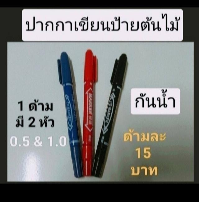 ป้ายติดชื่อต้นไม้สีสัน 7