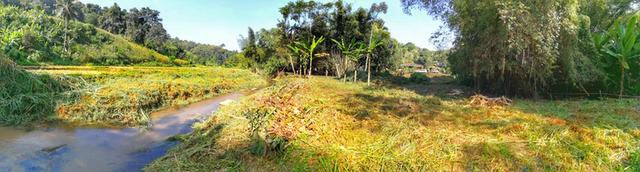 ที่ดินติดลำธารใกล้น้ำตก 6