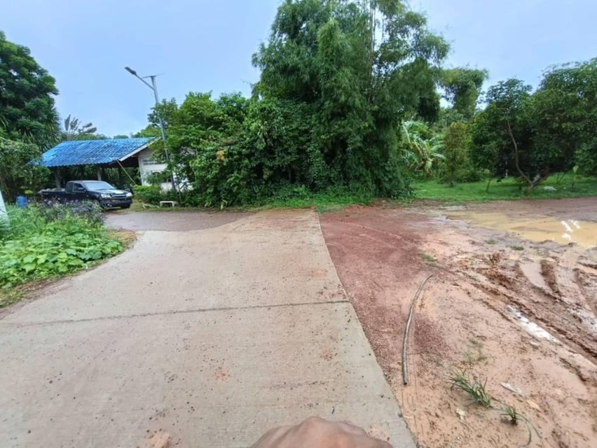 ขายที่ดินเนินหอม 9 ไร่ พร้อมสวนทุเรียนและส้มโอมีบ่อน้ำ ใกล้แยกหนองชะอม-3กม. เมืองปราจีนบุรี