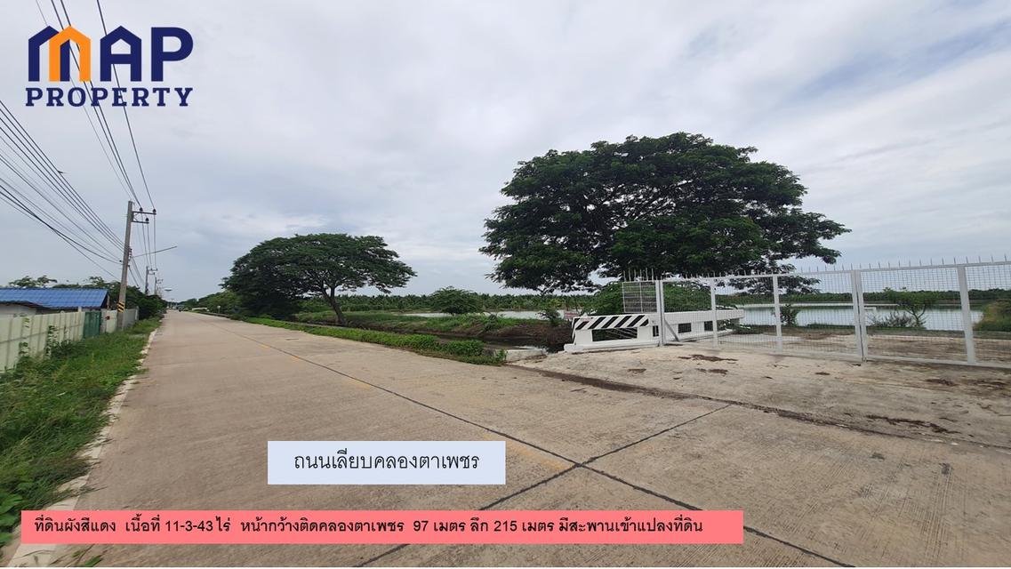 ที่ดินผังเมืองสีชมพู สมุทรสาคร 7