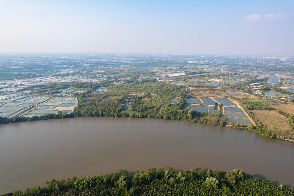 ขายที่ดิน ติดแม่น้ำบางปะกง เนื้อที่ 18 ไร่ 2 งาน 39 ตารางวา ตั้งอยู่ที่ ต.บางกรูด อ.บ้านโพธิ์ จ.ฉะเชิงเทรา 3