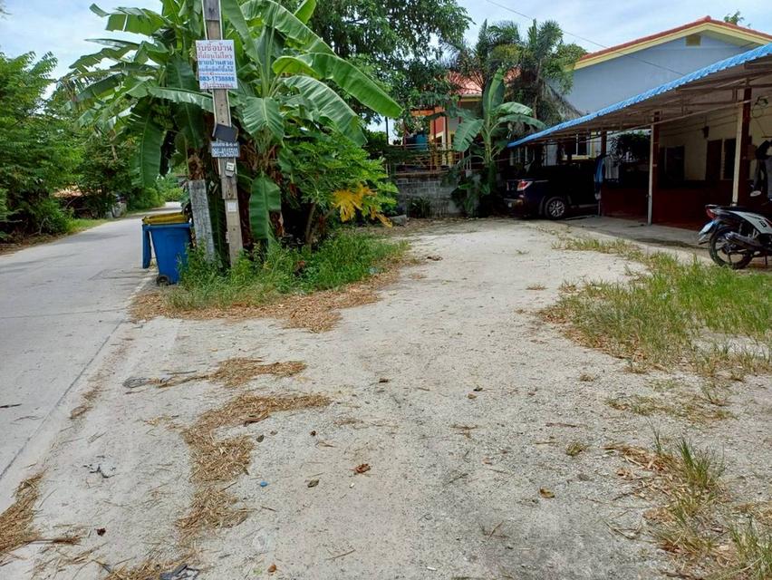 ขายที่ดินพร้อมบ้านและห้องแถว 7